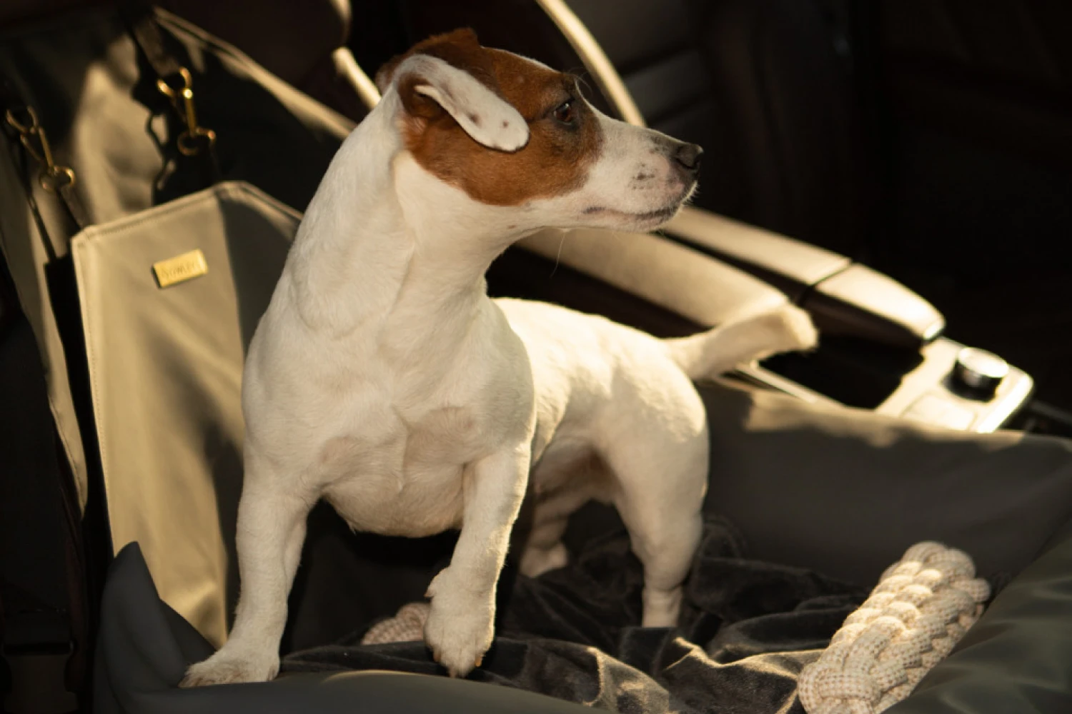 Basenjis Dog Car Seat for Kia Optima